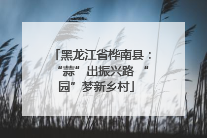 黑龙江省桦南县：“蒜”出振兴路 “园”梦新乡村