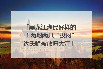 黑龙江渔民好样的！两地两只“投网”达氏鳇被放归大江
