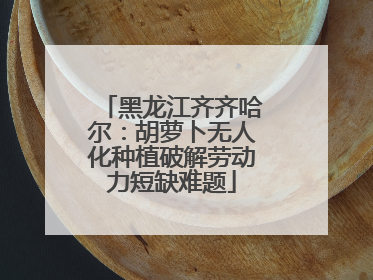 黑龙江齐齐哈尔：胡萝卜无人化种植破解劳动力短缺难题