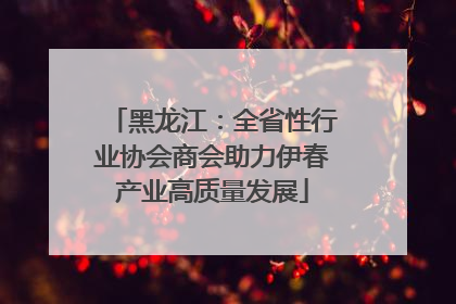 黑龙江：全省性行业协会商会助力伊春产业高质量发展