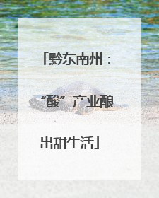 黔东南州：“酸”产业酿出甜生活