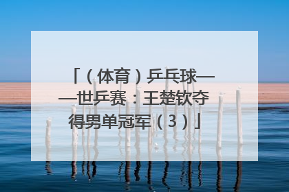 （体育）乒乓球——世乒赛：王楚钦夺得男单冠军（3）