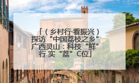 （乡村行·看振兴）探访“中国荔枝之乡”广西灵山：科技“鲜”行 实“荔”C位