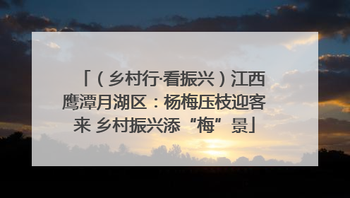 （乡村行·看振兴）江西鹰潭月湖区：杨梅压枝迎客来 乡村振兴添“梅”景