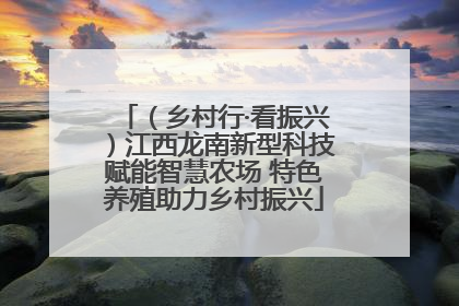 （乡村行·看振兴）江西龙南新型科技赋能智慧农场 特色养殖助力乡村振兴