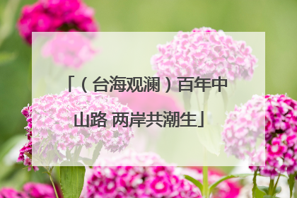（台海观澜）百年中山路 两岸共潮生