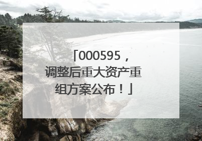 000595，调整后重大资产重组方案公布！