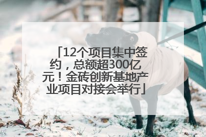 12个项目集中签约，总额超300亿元！金砖创新基地产业项目对接会举行