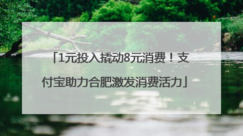 1元投入撬动8元消费！支付宝助力合肥激发消费活力