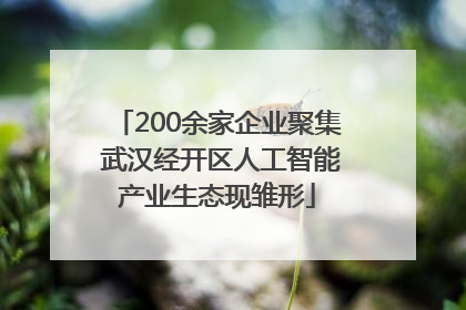 200余家企业聚集 武汉经开区人工智能产业生态现雏形