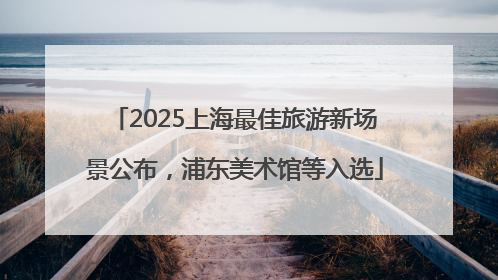 2025上海最佳旅游新场景公布，浦东美术馆等入选