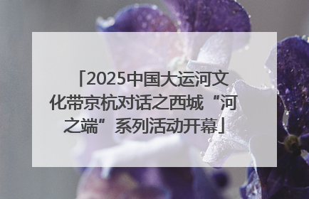 2025中国大运河文化带京杭对话之西城“河之端”系列活动开幕