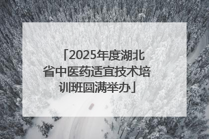 2025年度湖北省中医药适宜技术培训班圆满举办