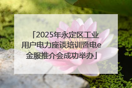 2025年永定区工业用户电力座谈培训暨电e金服推介会成功举办