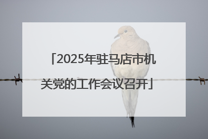 2025年驻马店市机关党的工作会议召开