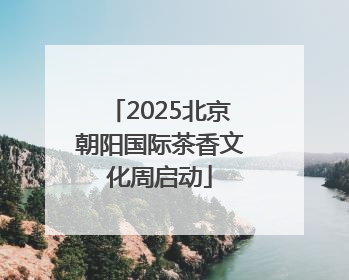 2025北京朝阳国际茶香文化周启动