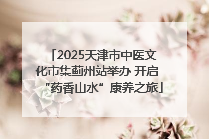 2025天津市中医文化市集蓟州站举办 开启“药香山水”康养之旅