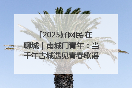 2025好网民·在聊城｜南城门青年：当千年古城遇见青春歌谣 一湖碧水见证的“聊城式浪漫”