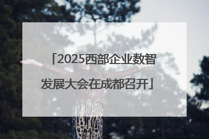 2025西部企业数智发展大会在成都召开