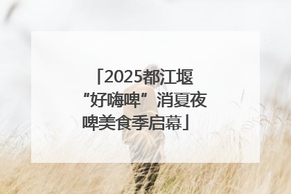 2025都江堰“好嗨啤”消夏夜啤美食季启幕