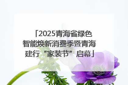 2025青海省绿色智能焕新消费季暨青海建行“家装节”启幕