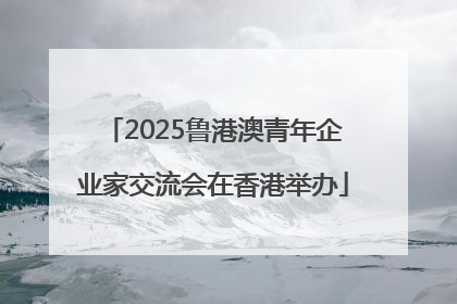 2025鲁港澳青年企业家交流会在香港举办