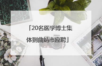 20名医学博士集体到曲靖市应聘