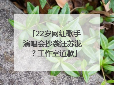 22岁网红歌手演唱会抄袭汪苏泷？工作室道歉
