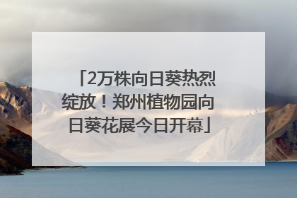 2万株向日葵热烈绽放！郑州植物园向日葵花展今日开幕