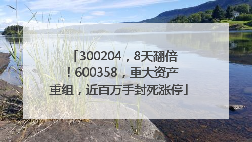 300204，8天翻倍！600358，重大资产重组，近百万手封死涨停