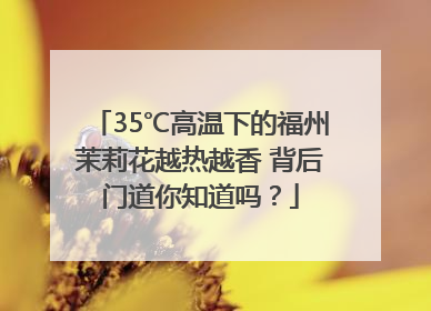 35℃高温下的福州茉莉花越热越香 背后门道你知道吗？
