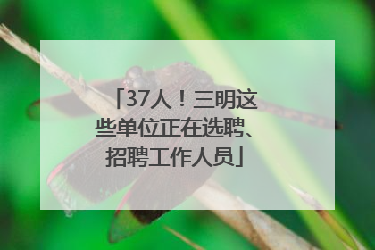 37人！三明这些单位正在选聘、招聘工作人员