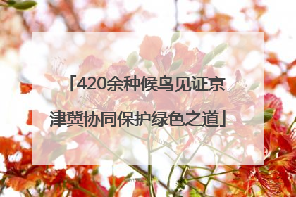 420余种候鸟见证京津冀协同保护绿色之道