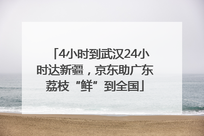 4小时到武汉24小时达新疆，京东助广东荔枝“鲜”到全国