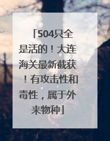 504只全是活的！大连海关最新截获！有攻击性和毒性，属于外来物种