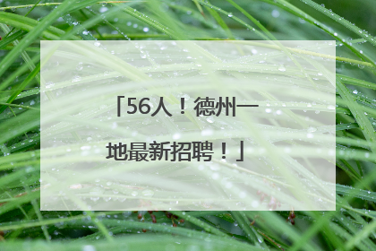 56人！德州一地最新招聘！