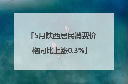 5月陕西居民消费价格同比上涨0.3%