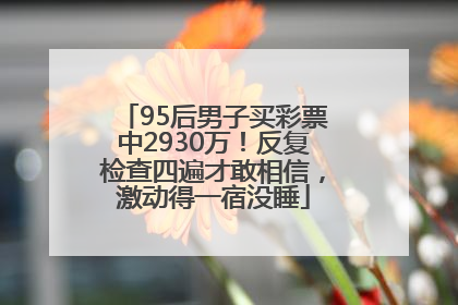 95后男子买彩票中2930万！反复检查四遍才敢相信，激动得一宿没睡