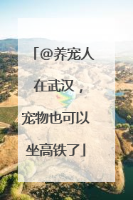 @养宠人 在武汉，宠物也可以坐高铁了
