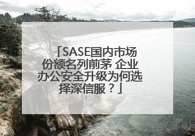 SASE国内市场份额名列前茅 企业办公安全升级为何选择深信服？