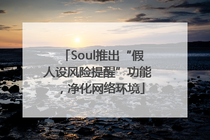 Soul推出“假人设风险提醒”功能，净化网络环境
