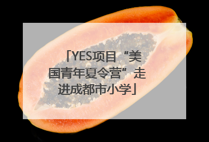 YES项目“美国青年夏令营”走进成都市小学